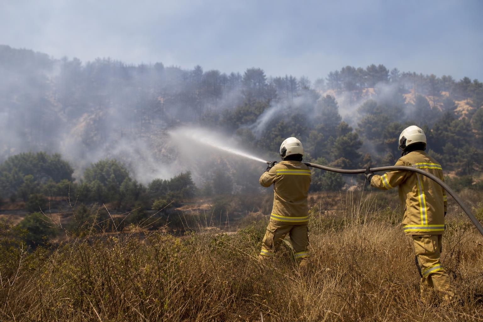 Europe Faces Wildfires and Art Theft Amid Global Tragedies and Market Shifts