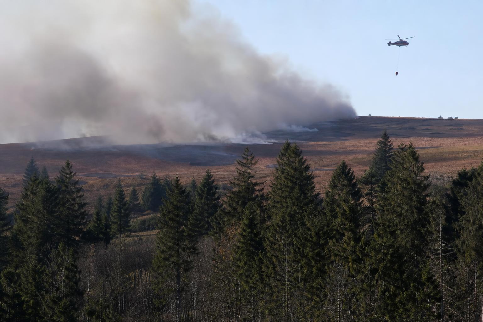 Waldbrand bei Monschau verschärft Lage – Mietpreise und Gesundheit im Fokus